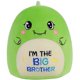 thumbnail image 1 of Peluche SEAOPOP, dinosaurio Gran Hermano, 22 cm, color verde, 1 of 7