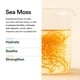 thumbnail image 5 of Sérum Abib Clear Spot con extracto de seamoss, ácido azelaico, 30 ml, 5 of 7