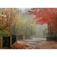 thumbnail image 2 of Vitaly Geyman 14x11 White Modern Wood Framed Wall Art Titled - Fall Plaza I, 2 of 5