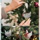 thumbnail image 5 of Bufanda navideña de madera con forma de pollo de diferentes formas, adornos navideños para reuniones familiares navideñas, 5 of 5