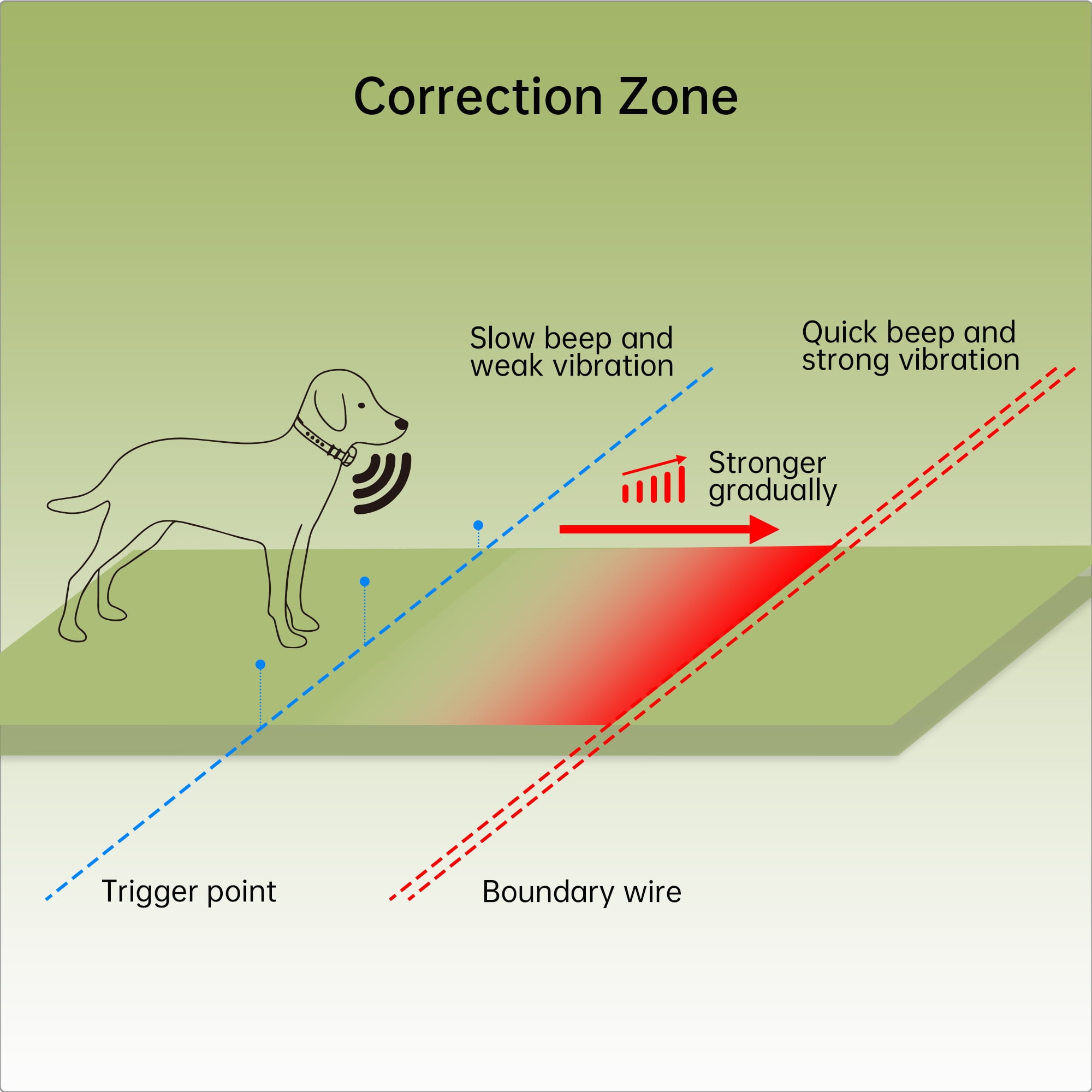 In-Ground Dog Fence F600 – Secure Any Property Shape | Supports Unlimited Number of Dogs | Underground Electric Fence