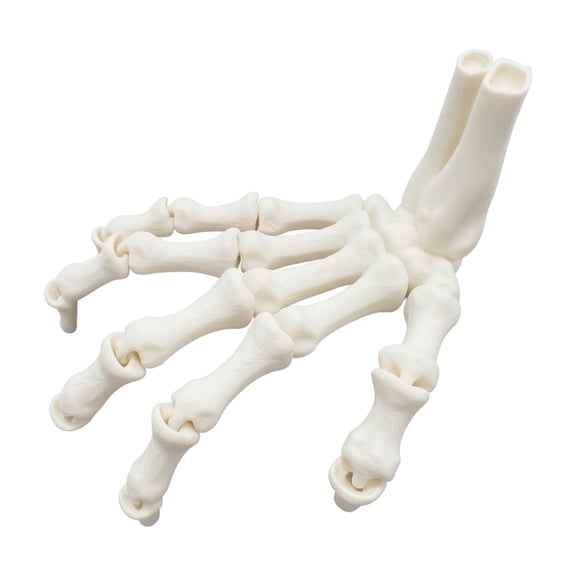Halloween Skeleton Hand Decoration with Poseable Fingers and Wrist Bones, Creepy Plastic Skeleton Decor for Haunted House Party Table Centerpiece, Gothic Horror Birthday Gift 1