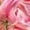 Rose Red, variant on Women's Realistic Pink Stargazer Lily Flower Bud Graphic V-Neck Sleeveless T-Shirt Ultra Soft Breathable Spring Summer Relaxed Fit Daily Casual Tank Top