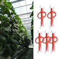 thumbnail image 4 of Soporte para Plantas Baoblaze Ganchos de Escalada 10 m, 4 of 8