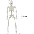 thumbnail image 3 of JOYIN 2 Pcs Glow in The Dark Skeleton for Halloween Decorations, Skeleton Prop, Indoor Spooky Scene Party Favors, Halloween Outdoor Yard Haunted House Prop Decoration, 3 of 7