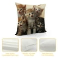 thumbnail image 4 of JEUXUS  Cute Cats Decorative Throw Pillow Cover Case, Kittens Family Cats Outdoor Pillow Cases Square Standard Cushion Cover for Sofa Couch Bed Car, 4 of 5