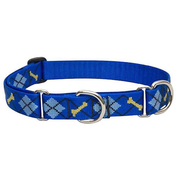 LupinePet Originals 1" Dapper Dog 19-27" Martingale Collar for Large Dogs