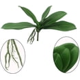 thumbnail image 2 of Artificial Green Phalaenopsis Moth Orchid Leaf Real Latex Touch Green Plant for Flowers Garden Bonsai Decor (5, 9.5"/5 Leaves), 2 of 5