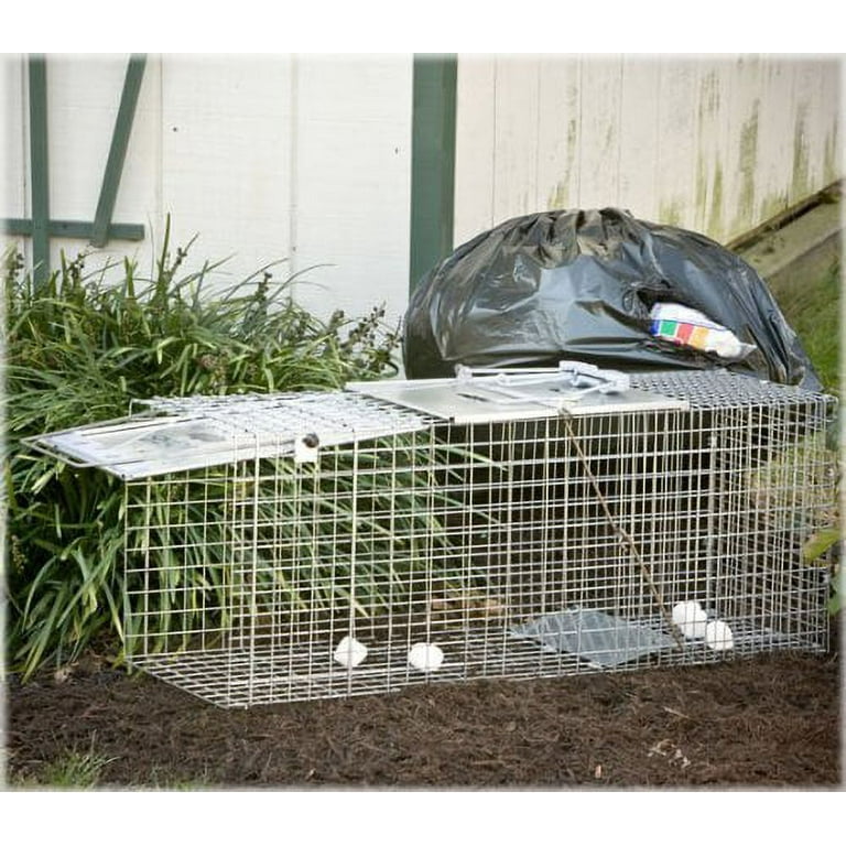 Havahart 1085 Easy Set One-Door Cage Trap for Raccoons, Stray Cats,  Groundhogs, Opossums, and Armadillos