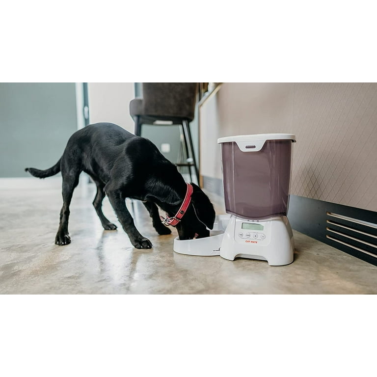 Pet mate on sale cat mate c3000