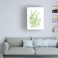 thumbnail image 3 of Katrina Pete 'Eucalyptus III' Canvas Art, 3 of 4