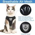 thumbnail image 3 of adjustable vest and reflective cat harness TETOU House Store Round, 3 of 13