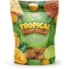 Tropical Fruit Balls - Lime