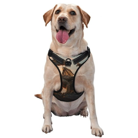 Vsdgher Sky Sunset Bronze Dragon Pattern Dog Harness No Pull Pet Harness with Soft Padded Handle Adjustable Reflective Vest with 2 Buckles 4 Slide Buckles S-XL Large