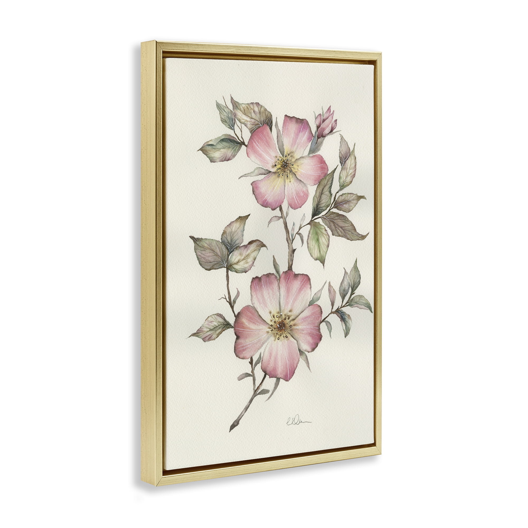 Stupell Industries Two Flowers Natural Study Gold Framed Floater Canvas Wall Art, design by Cady Driver