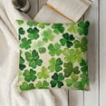 thumbnail image 3 of SHANXI St Patricks Day Pillow Covers Green Yellow Couch Pillow Cases Throw Pillows Spring Farmhouse Decor for Home Room Cushion Outdoor Decorations 24x24in, 3 of 5