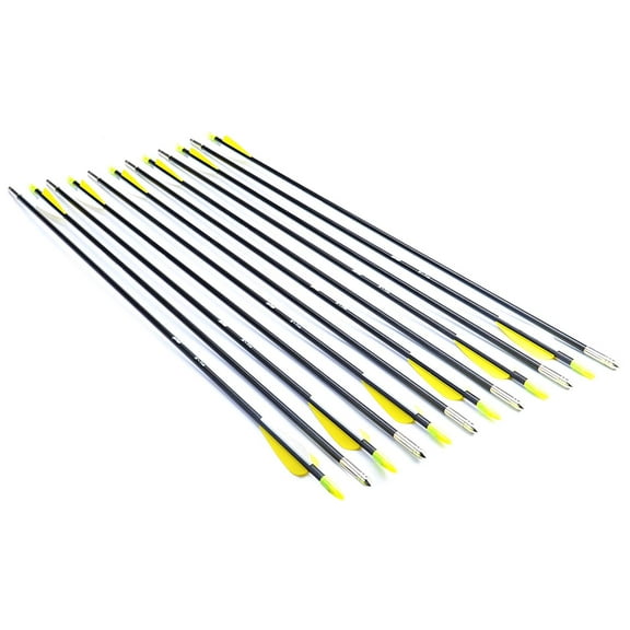 12Pcs 28-Inch Fiberglass Archery Target Practice Arrows for Beginner with Adjustable Nocks for Compound & Recuve Bow