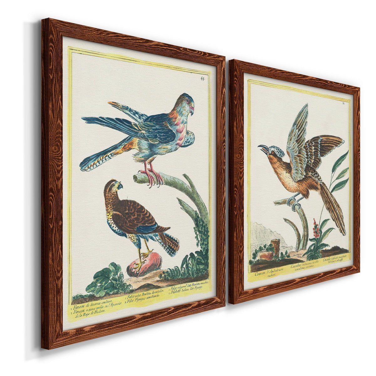 Pastel Birds III - Premium Framed Canvas 2 Piece Set - Ready to Hang
