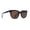 Tortoise Satin, variant on Vonzipper Sunglasses Wooster