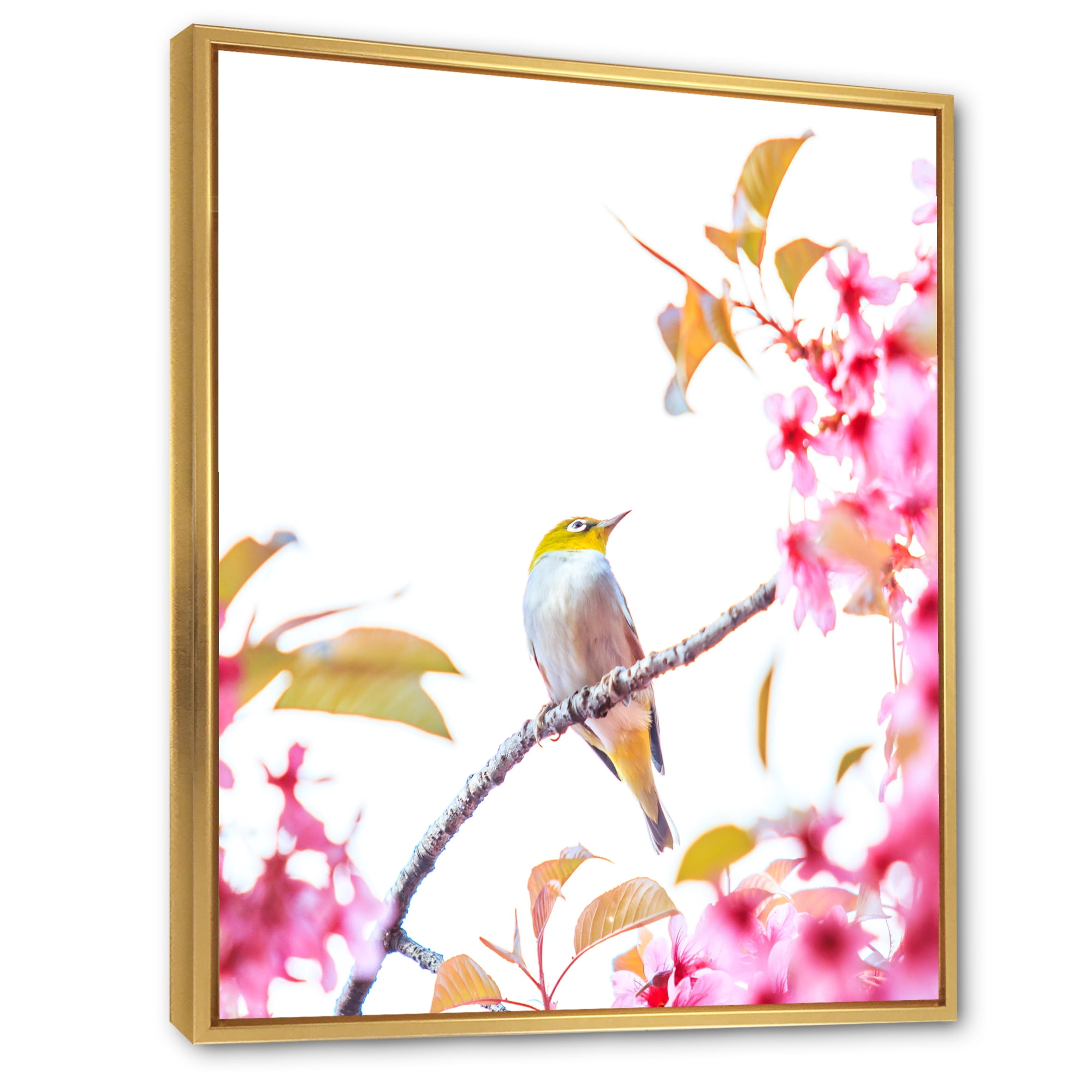 Designart 'Bird Sitting On Cherry Blossom' Traditional Framed Canvas Wall Art Print