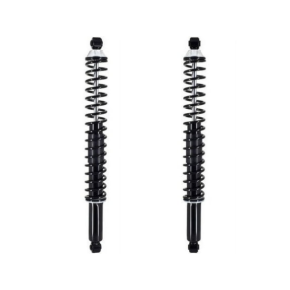 Rear Shock Absorber and Coil Spring Assembly - Compatible with 2009 - 2014 Ford F-150 2010 2011 2012 2013