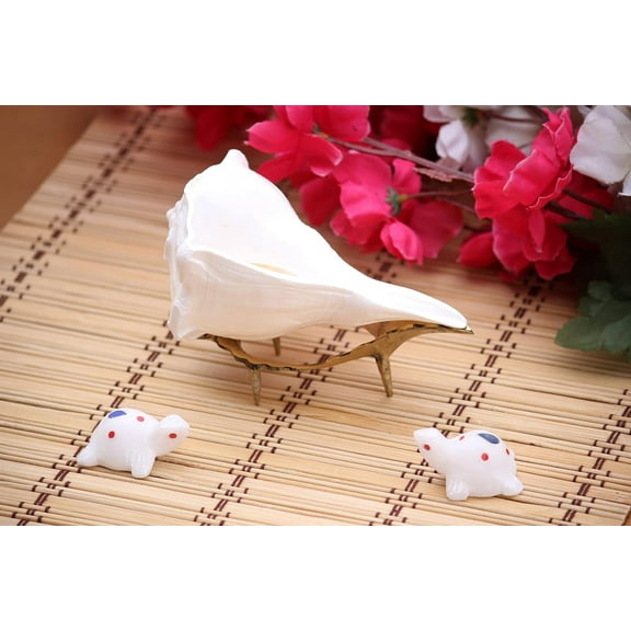 Original ( 5 INCH) Dakshinavarti shankh for pooja / Right handed shankh white conch shell with free 1 pair of handcrafted Marble Tortoise and shankh stand By Indian Collectible