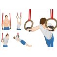 thumbnail image 4 of Fitness Wooden Gymnastics Rings with straps Fitness ring, Home Gym Equipment,, 4 of 4