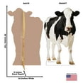 thumbnail image 2 of Advanced Graphics Life Size Cow Cardboard Stand-Up, 5ft, 2 of 5