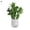A, variant on SPRING PARK Artificial Green Lucky Turtle leaf Decorative Home Garden Outdoor Plant Tree Pot