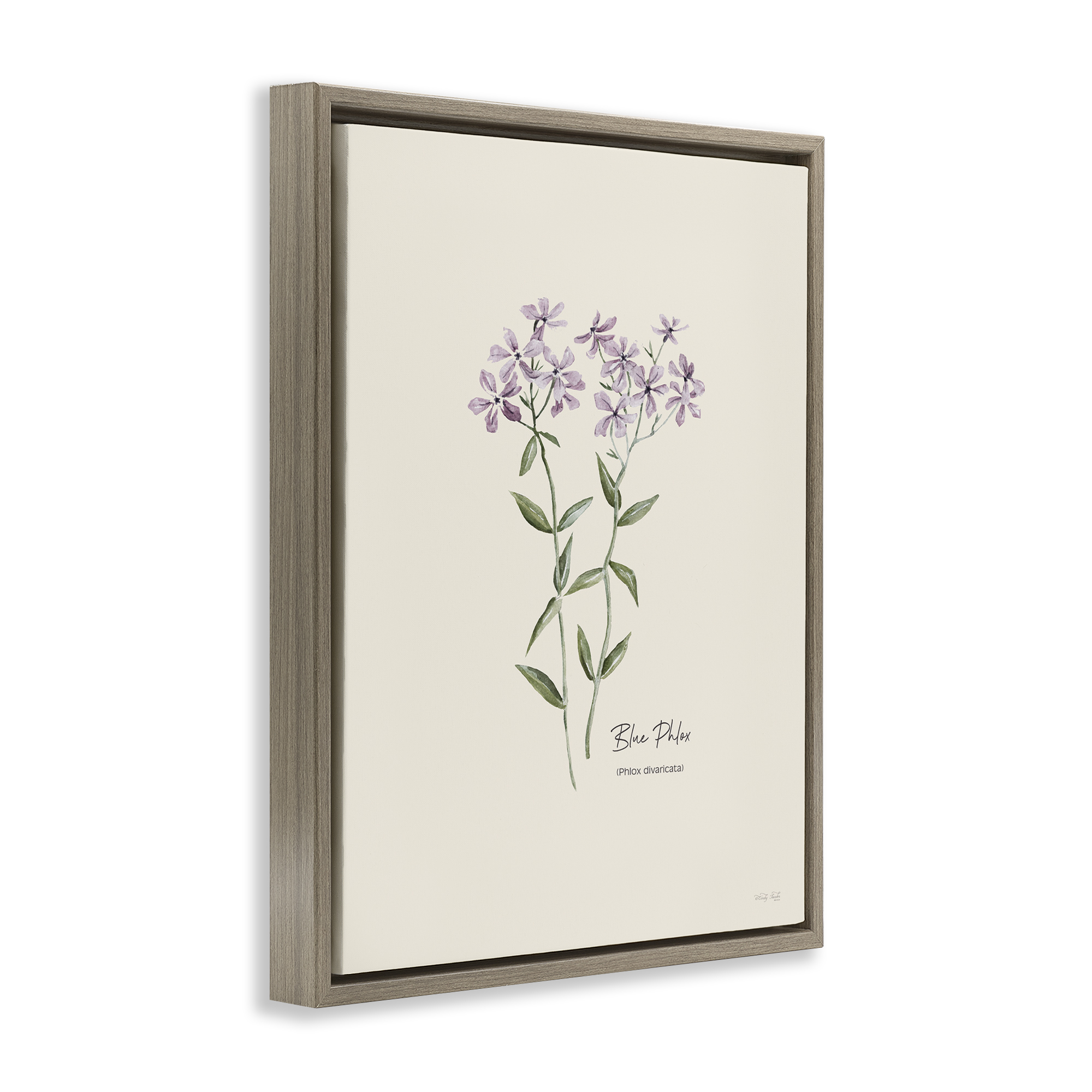 Stupell Industries Country Herb Diagram Botanical & Floral Painting Brown Floater Framed Art Print Wall Art, 25 x 31