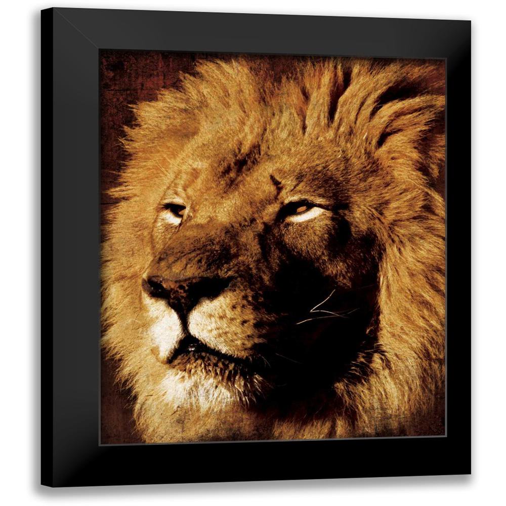 Grey, Jace 12x14 Black Modern Framed Museum Art Print Titled - Lion