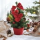 thumbnail image 4 of Mini árbol de Navidad de escritorio con bolas y lazos galvanizados | Decoración navideña de PVC para el hogar y la oficina | Set de corona festiva de 20 x 10 cm, 4 of 5