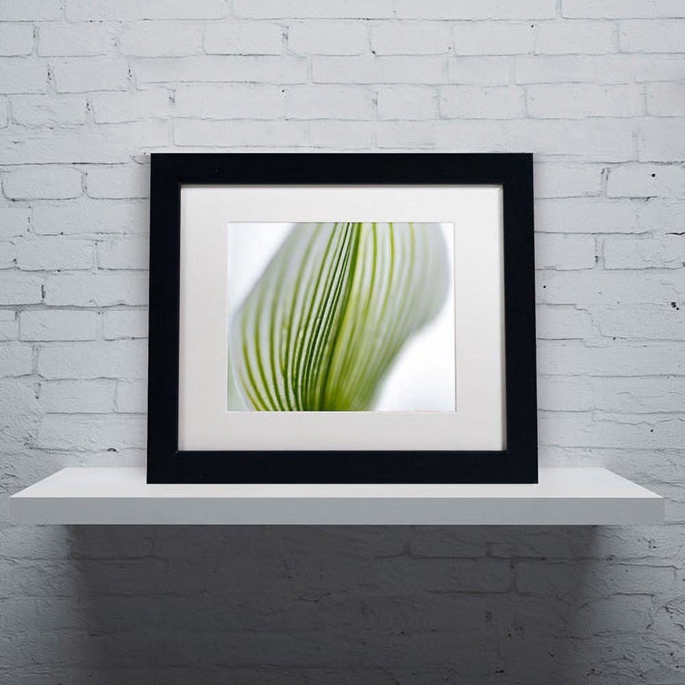 Trademark Fine Art "Orchid Abstract Blurred Lines" Canvas Art by Kurt Shaffer, White Matte, Black Frame