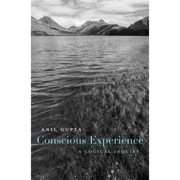 Conscious Experience: A Logical Inquiry (Hardcover)