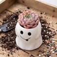 thumbnail image 6 of DefiDgd Cute Ghost Shaped Ceramic Succulent Planter Pot,Small Plant Flower Container for Halloween Indoor Tabletop Bedroom Living Room Balcony Farmhouse Home Decor(A), 6 of 7