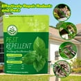 thumbnail image 2 of Sesiiduo Mosquito Repellent for Indoor Outdoor, Natural Mosquito Repellent for Yard, Fly Mosquito Control for Room, Mosquito Deterrent for Backyard, Travel, Camping, Human Safe 10 Pack, 2 of 6