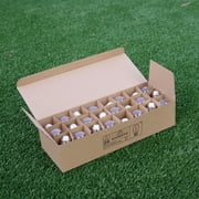 S14 LED 1 Watt (11 Watt Equivalent), String Light Bulb Replacement, Warm White (2200K) E26/Medium (Standard) Base (Set Of 24)