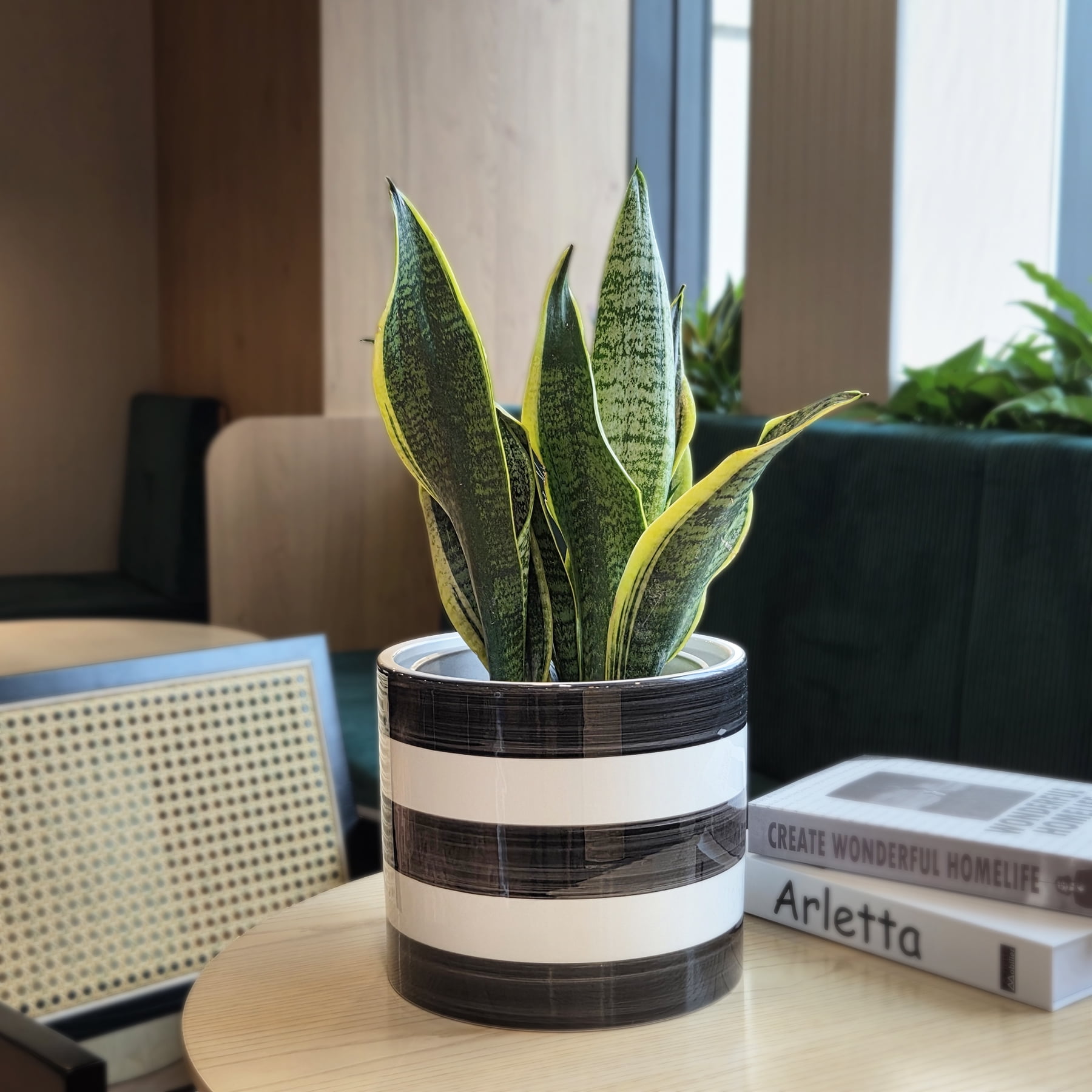 Mainstays Andrew 7.8" x 7.8" x 6.9" Round Rich Black and Arctic White Ceramic Planter
