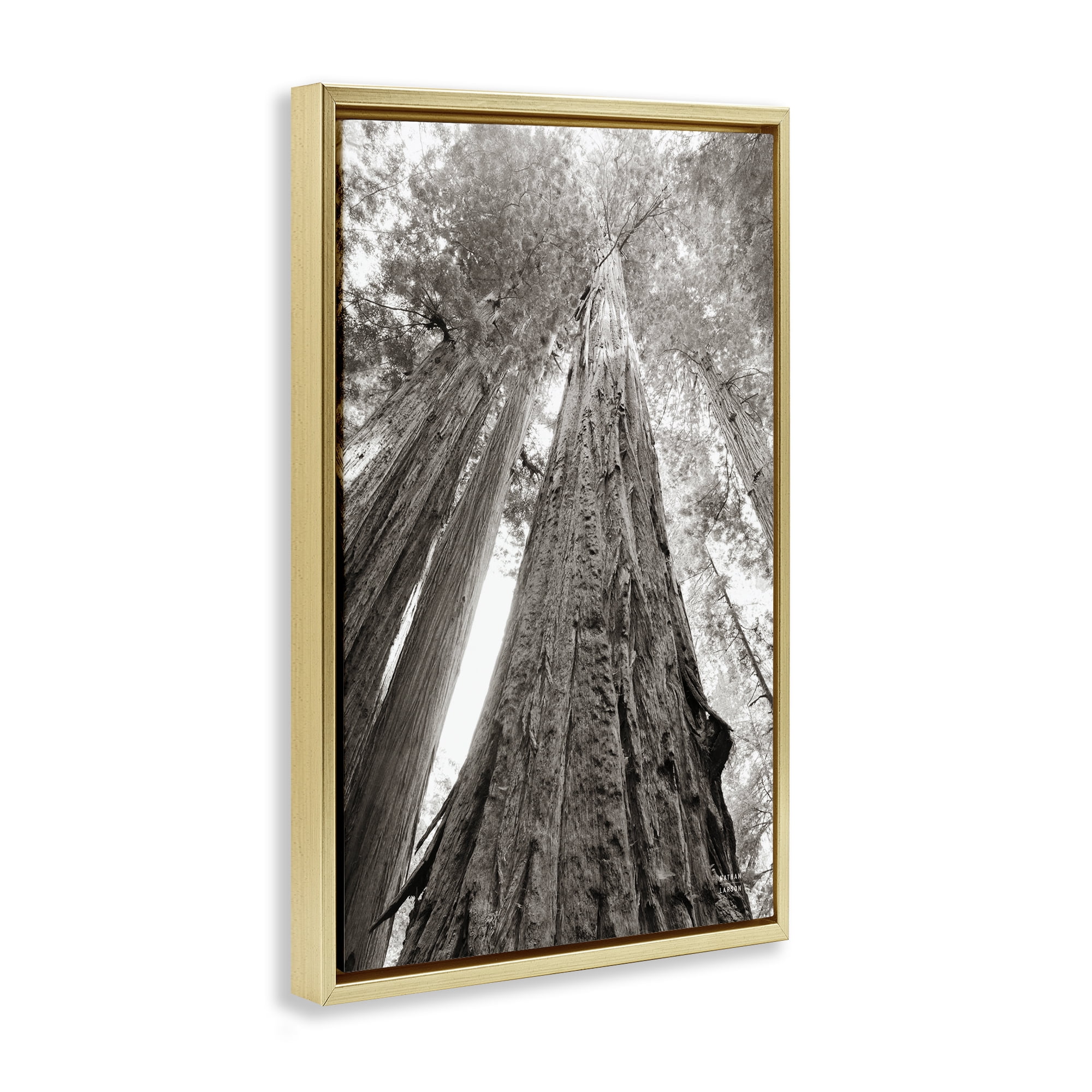 Stupell Industries Ancient Redwood Forest Landscape & Nature Photography Gold Floater Framed Canvas Art Print Wall Art, 17 x 25