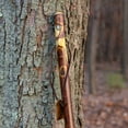 thumbnail image 6 of Brazos Free Form Hawthorn Wood Walking Stick 58 Inch Height, 6 of 10