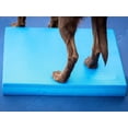 FitPAWS® Balance Pad | Dog Balance Training Platform & Exercise ...