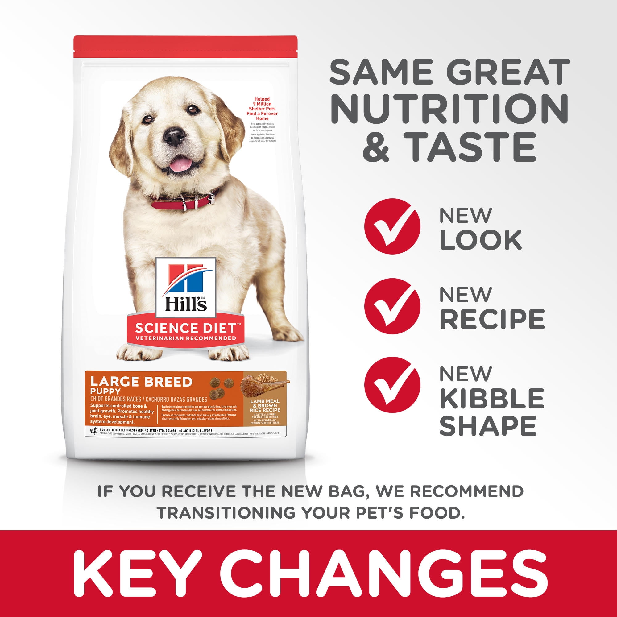 science diet lamb and rice puppy