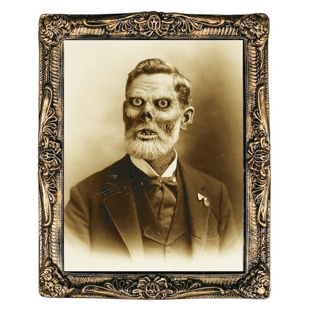 Seasonal Visions Pappy Fungus Holographic Framed Portrait Halloween Decoration - 21 in x 17 in