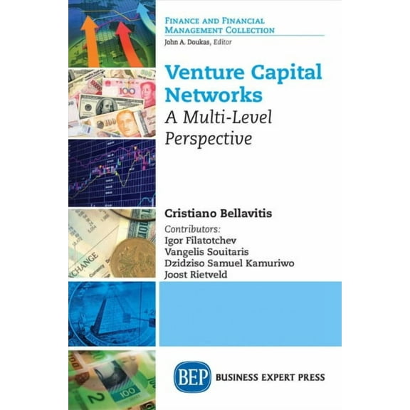 Venture Capital Networks: A Multi-Level Perspective (Paperback)