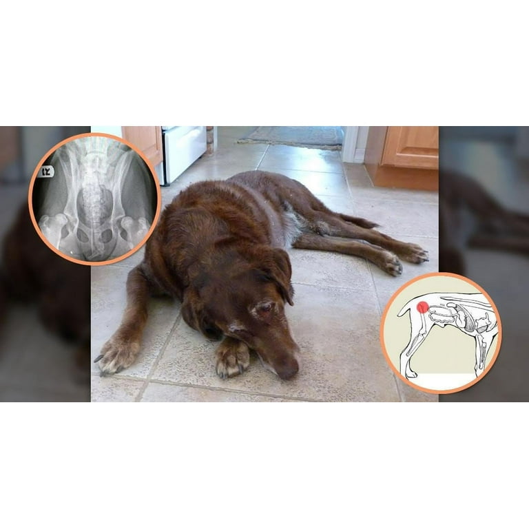 Extend joint for clearance dogs
