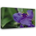 thumbnail image 1 of Erin Berzel 18x13 Gallery Wrapped Canvas Wall Art Titled - Summer Bloom II, 1 of 4