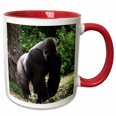 

3dRose Silverback Male Gorilla walking head down - Two Tone Red Mug 11-ounce