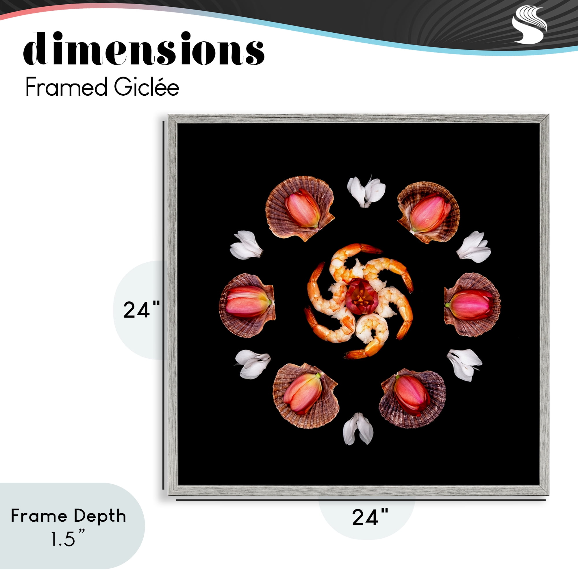 Stupell Industries Seashells & Tulips Symmetry Gray Framed Giclee Art, design by Beth Adoette