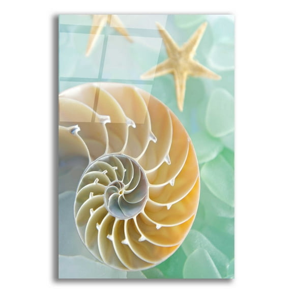 Epic Art 'Seaglass 2' by Alan Blaustein Acrylic Glass Wall Art, 12"x16"