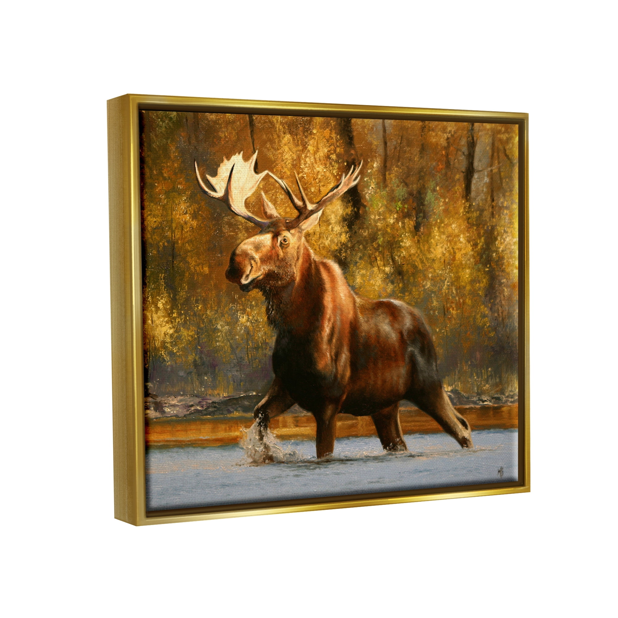 Stupell Industries Moose Stepping River Foliage Animals & Insects Photography Gold Floater Framed Art Print Wall Art, 31 x 25